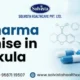 PCD Pharma Franchise in Panchkula